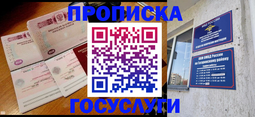 где прописаться в Кингисеппе